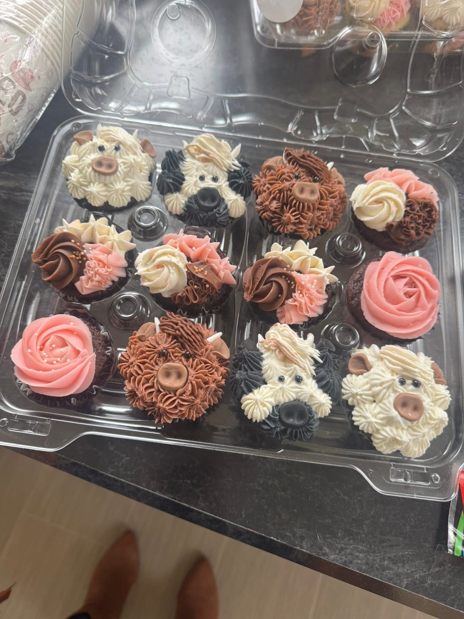 Cow Cupcakes
